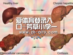爱体育登录入口